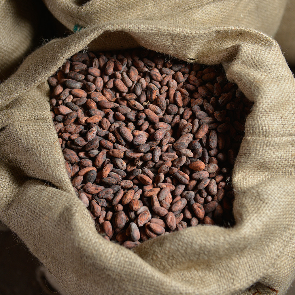 HUAYABAMBA 60% Peru Bio Dunkle Couverture 6kg